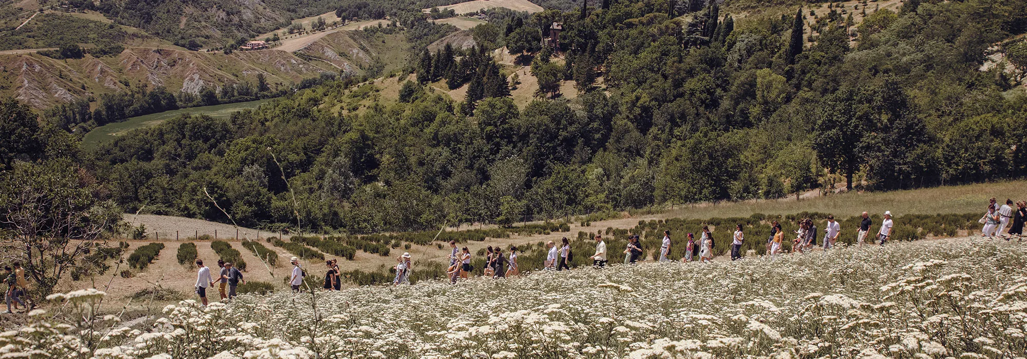 Ortofficina biodynamic farm estate in the hills of Bologna